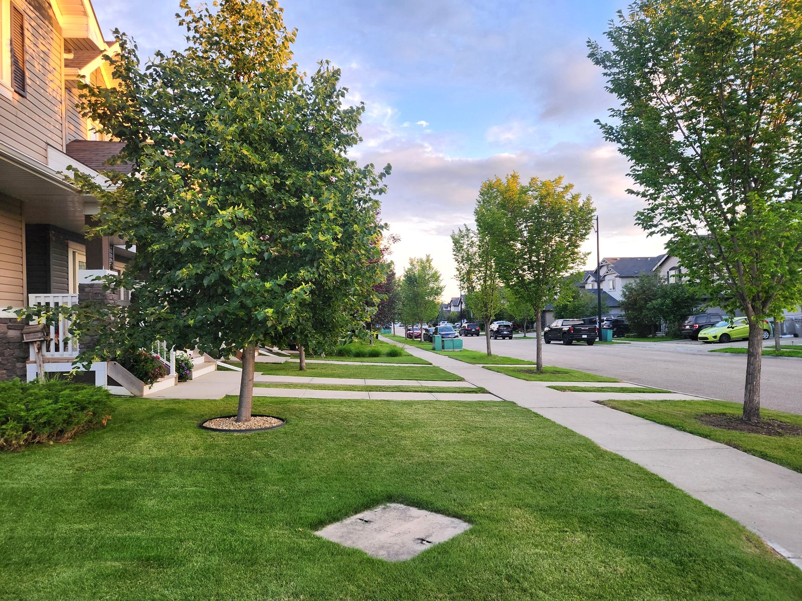 Mature tree-lined street with front-porch homes in Dansereau Meadows, Beaumont