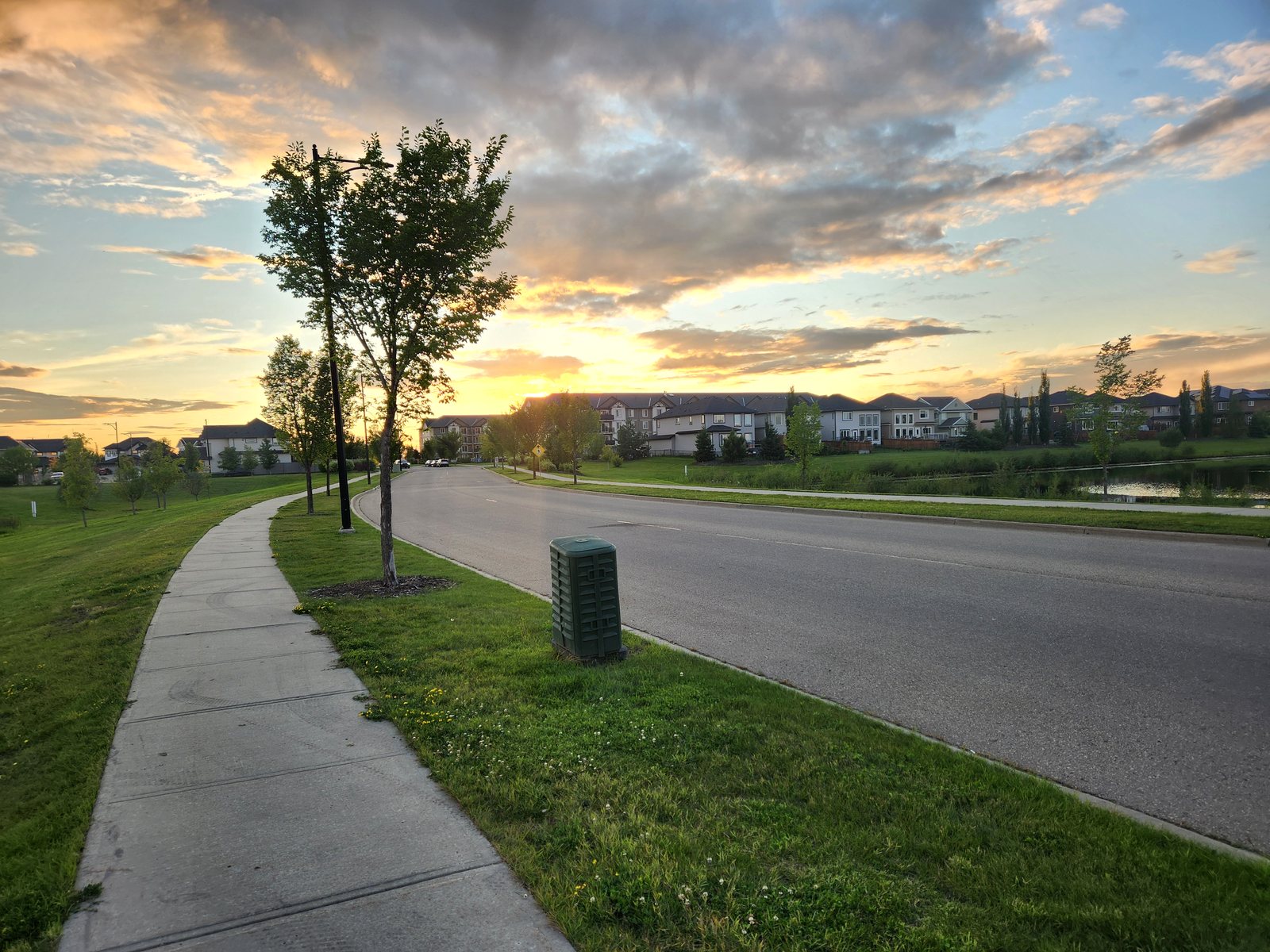 Pond and roadway through Dansereau Meadows at sunset, Beaumont